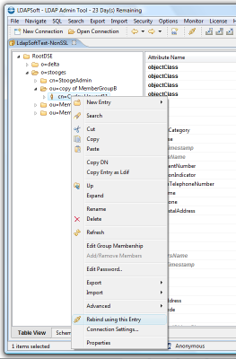 LDAP Connection - Rebind Connection